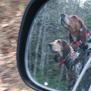 Meet your Posher, Kimo